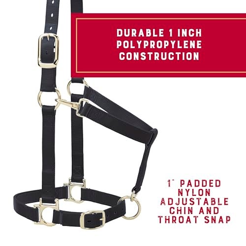 Weaver Equine Weaver Leather Nylon Horse Halter, Padded and Adjustable, Chin and Throat Snap Hook Halters for Horses, Brass Plated Halters for Training - Image 3