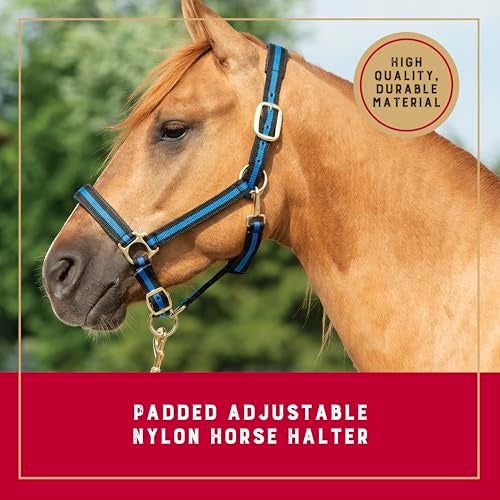Weaver Equine Weaver Leather Nylon Horse Halter, Padded and Adjustable, Chin and Throat Snap Hook Halters for Horses, Brass Plated Halters for Training - Image 2