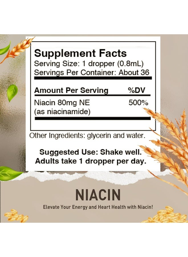 HoneyCombs Vitamin B3-Niacin 80mg Niacin Equivalent Drops – Vitamin B Liquid Niacin Drops – Alcohol-Free, Non-GMO Niacin Supplement 1oz - Image 2