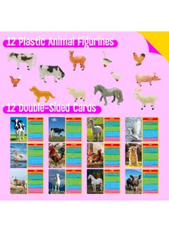 12 Pcs Farm Animal Figurines With 12 Introducing Flashcards, Realistic Farm Animals Playset Montessori Toys Science Educational Matching Game For Homeschool Preschool Toddler Kids - pzsku/ZBE8280E2C62200373EF2Z/45/_/1734348127/2ddcfe78-6918-4318-81bc-19a80947729c