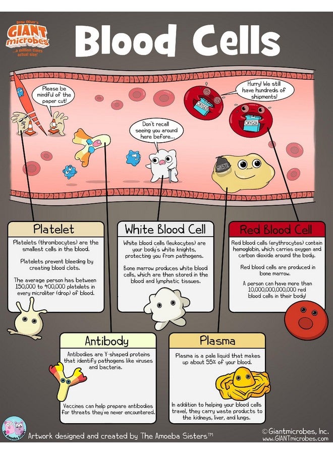 Giant Microbes GIANTmicrobes Red Blood Cell Plush, Blood Cell Plush, Blood Bank, Gifts for Lab Techs, Hematology, Phlebotomy Gifts, Phlebotomist Gift - Image 4