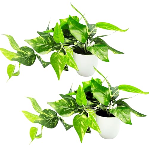 fancymart Plastic Artificial Money Plant Leaves Falling in Pot, Home and Office Decor Item for Desk & Wall Shelves, Green & White - Image 3