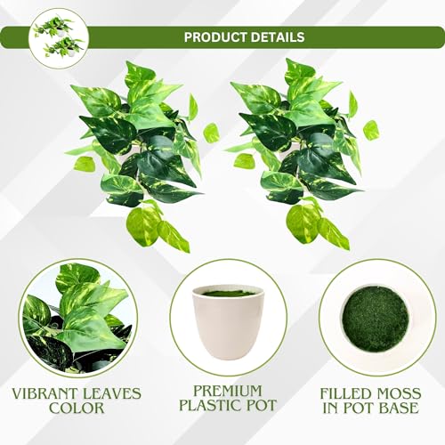 fancymart Plastic Artificial Money Plant Leaves Falling in Pot, Home and Office Decor Item for Desk & Wall Shelves, Green & White - Image 5