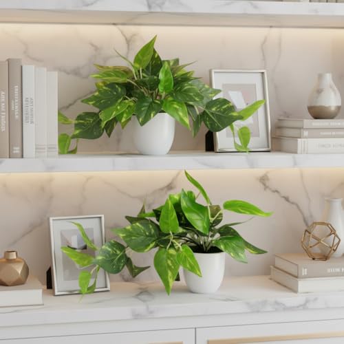 fancymart Plastic Artificial Money Plant Leaves Falling in Pot, Home and Office Decor Item for Desk & Wall Shelves, Green & White - Image 2