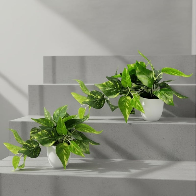fancymart Plastic Artificial Money Plant Leaves Falling in Pot, Home and Office Decor Item for Desk & Wall Shelves, Green & White - Image 1