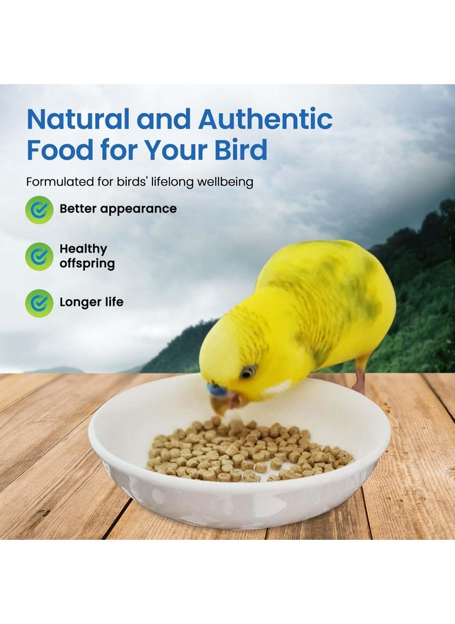 Harrison's Bird Foods Harrison's Bird Foods Adult Lifetime Certified Organic Non-GMO Formula Small Bird Food 1lb  - Image 3