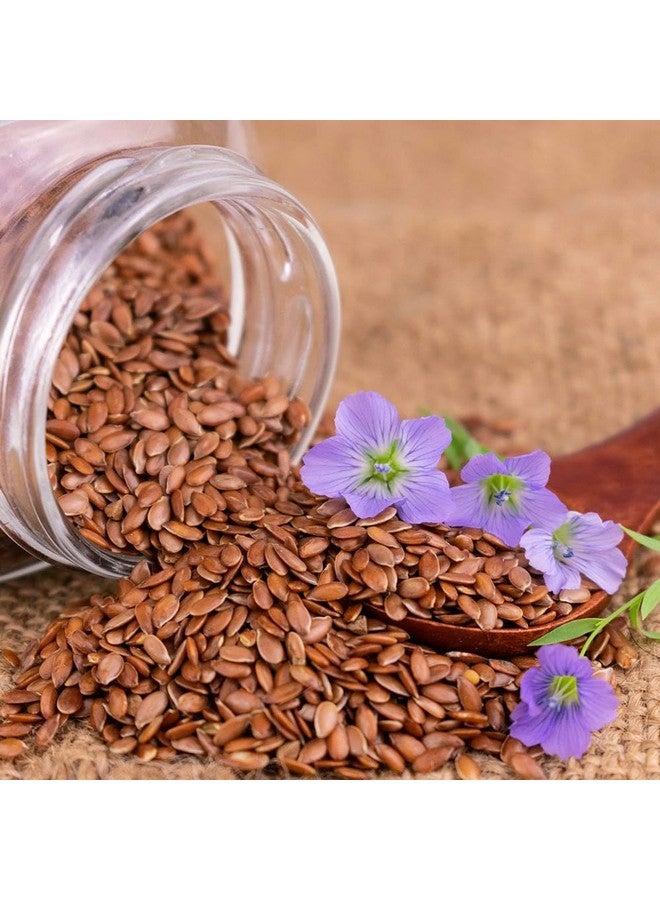U360 Orgenic Alsi Flax Seeds - Rich in Omega-3, Protein & Fiber | Raw Seeds for Eating & Hair Growth U360_Alsi_flax-Seeds_AA_100g - Image 1