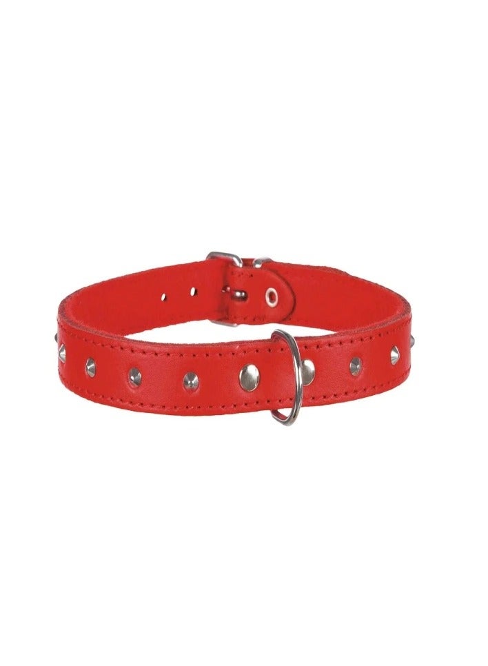 Trixie Basic Red Collar With Studs For Dogs - Image 2