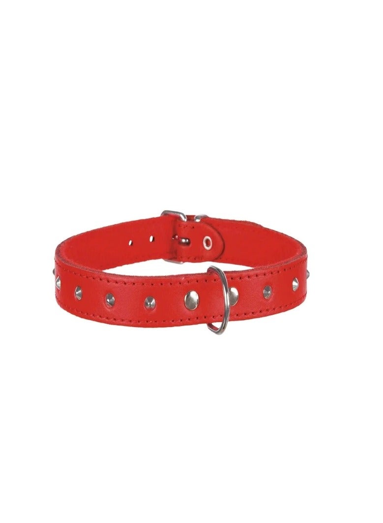 Trixie Basic Red Collar With Studs For Dogs - Image 1