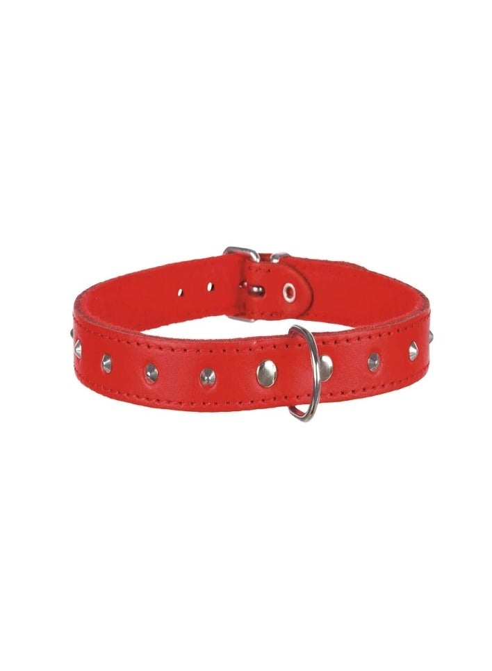 Trixie Basic Red Collar With Studs For Dogs - Image 3