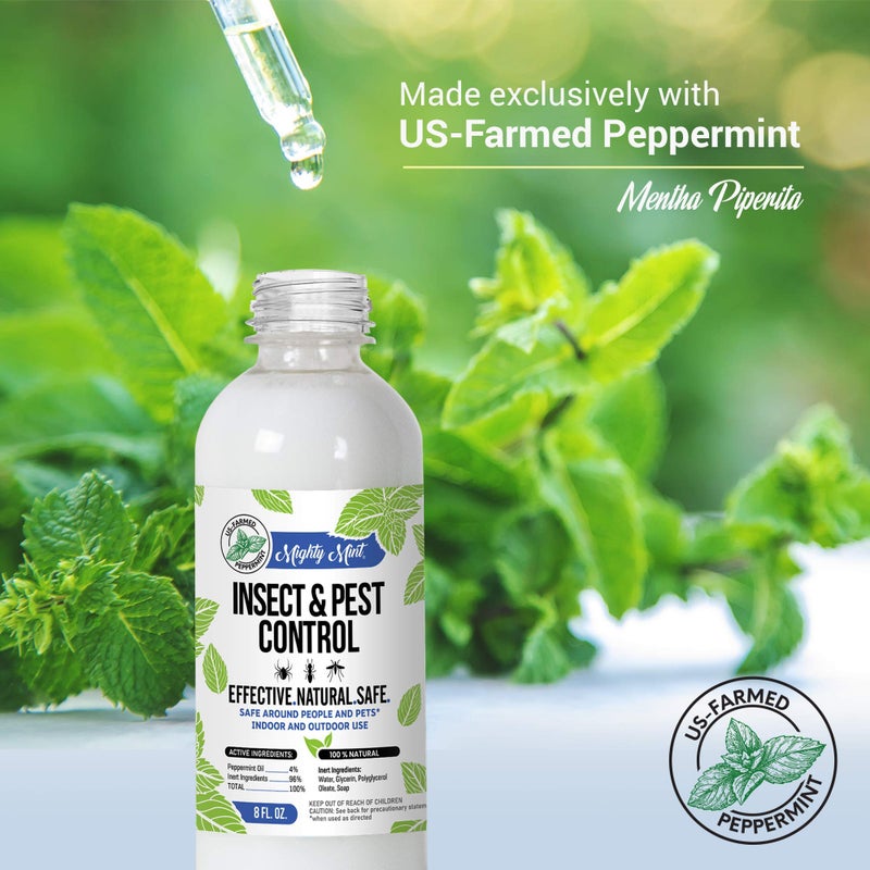 Mighty Mint 8oz Insect and Pest Control Peppermint Oil - Natural Spray for Spiders, Ants, and More (2) - Image 4