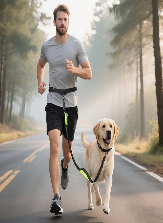 ITNAST Hands Free Dog Leash for Medium Large Dogs, Waist Support Padded Bungee Dog Running Leash with Reflective Stitching for Walks, Jogging, Running, Hiking, and Dog Training - Image 2