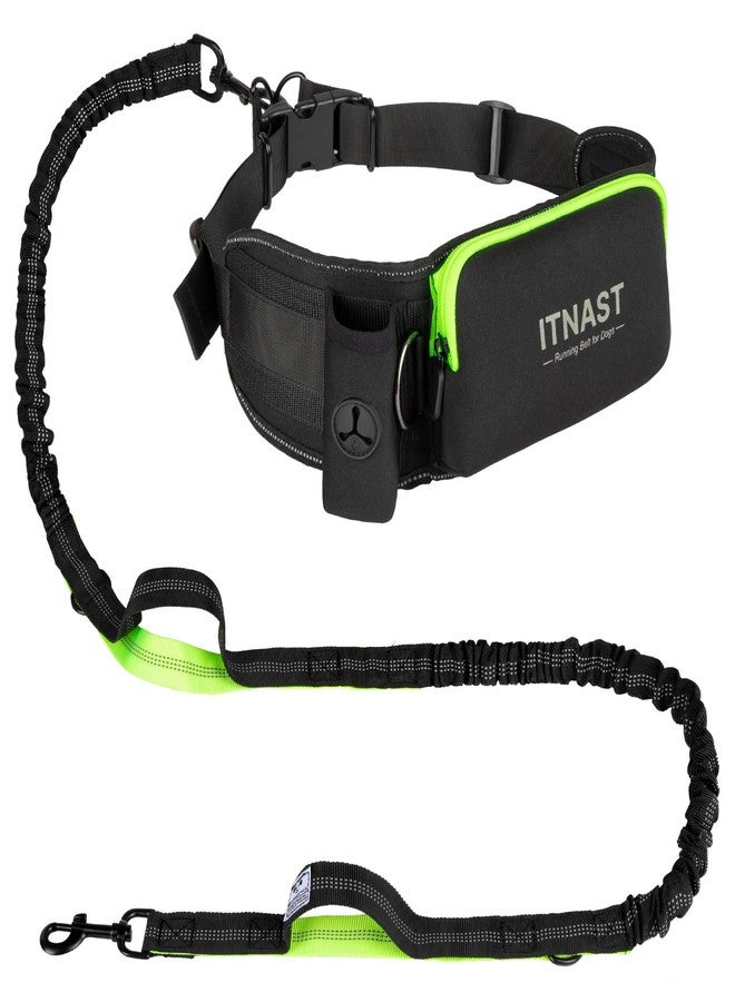 ITNAST Hands Free Dog Leash for Medium Large Dogs, Waist Support Padded Bungee Dog Running Leash with Reflective Stitching for Walks, Jogging, Running, Hiking, and Dog Training - Image 1