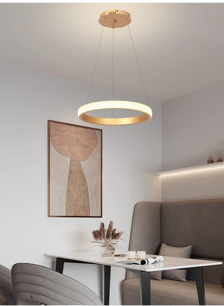 YATAI LIGHTING - Modern LED Chandeliers Dining Room,Remote Control Simplicity Gold Acrylic Ring Chandelier for Kichen Table,Study,Adjustable Color Temperature Chandelier Lamp (60CM) - Image 1