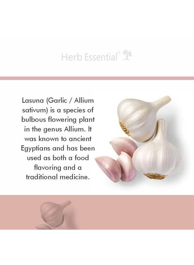 Herb Essential Lasuna (Garlic) Tablets, 500 Mg,120 Tablets | Cardiac Wellness | 100% Pure Extracts - Image 3
