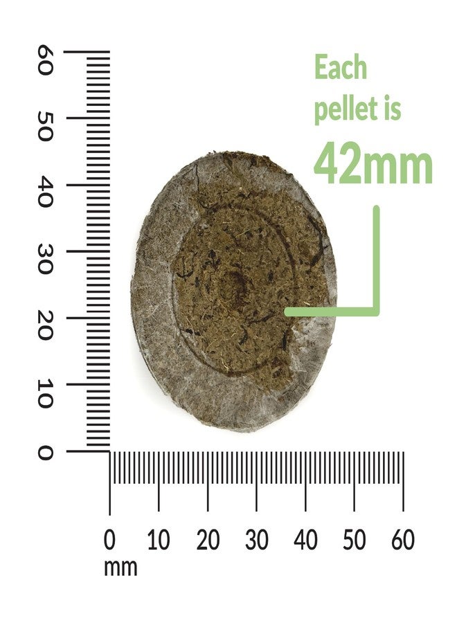 Jiffy Plant Starter Pellets - Compact Organic Seedling Peat Pellets Refill - 42mm, 5 Pack, Peat Soil - Image 3