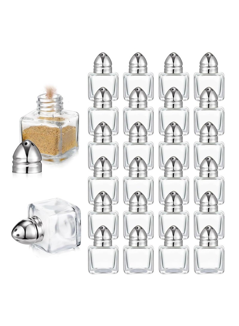 TYCOM زجاجات توابل ملح وفلفل كاستور 24 عبوة حافظة توابل فردية حوامل توابل حاوية ملح جرة فلفل زجاجية برؤوس فضية. - Image 1