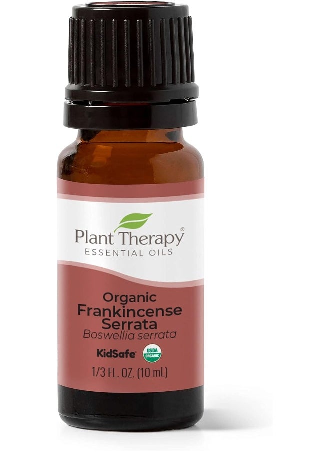 Plant Therapy Plant Therapy Organic Frankincense Serrata Essential Oil 100% Pure, USDA Certified Organic, Undiluted, Natural Aromatherapy, Therapeutic Grade 10 mL (1/3 oz)  - Image 1