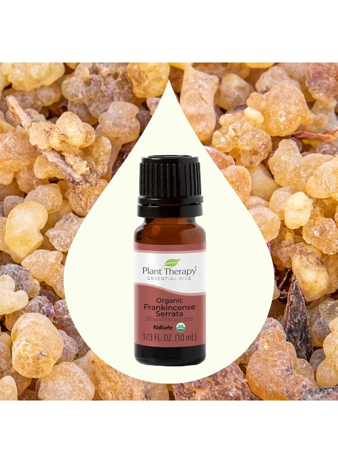 Plant Therapy Plant Therapy Organic Frankincense Serrata Essential Oil 100% Pure, USDA Certified Organic, Undiluted, Natural Aromatherapy, Therapeutic Grade 10 mL (1/3 oz)  - Image 3