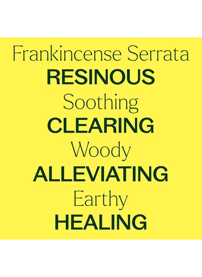 Plant Therapy Plant Therapy Organic Frankincense Serrata Essential Oil 100% Pure, USDA Certified Organic, Undiluted, Natural Aromatherapy, Therapeutic Grade 10 mL (1/3 oz)  - Image 4