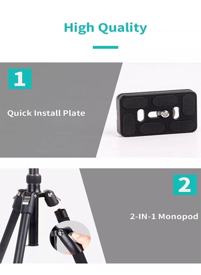 Jmary Jmary KT325+NB30 1.6m Aluminum Alloy Camera Tripod Monopod with 360¬∞ Ball Head ‚Äì Ultra Lightweight & Portable Design, Detachable & Adjustable for DSLR, SLR, Action Cameras, Smartphones ‚Äì Perfect for Travel, Vlogging, Photography, Live Streaming ‚Äì Durable Black Finish - Image 4