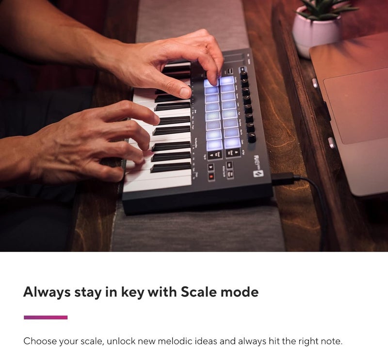 Novation FL Key Mini: 25-key Touch-sensitive Keyboard Controller, USB, Velocity Sensitive Keys, FL Studio Compatible - Image 3