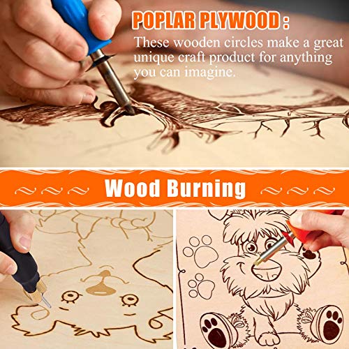 Audab 5 Pack 14 Inch Wood Circles Unfinished Rounds for Crafts, Door Hanger, Door Design, Wood Burning - Image 5