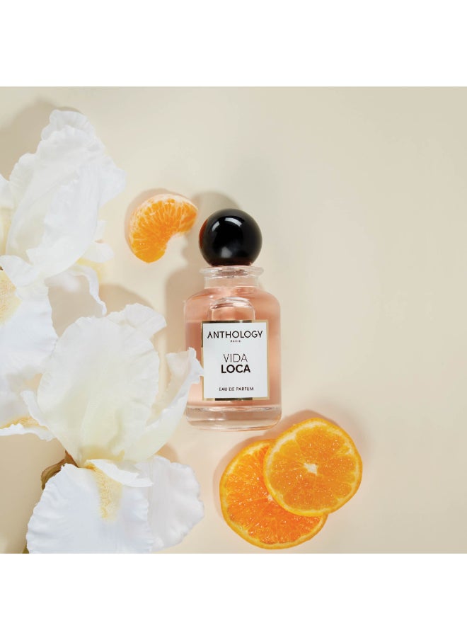 Anthology - Vida Loca Eau De Parfum 100Ml - Image 1