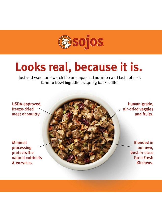 Sojos SOJOS Complete Beef Recipe Dehydrated Dog Food, 1.75 lb, Yellow  - Image 2