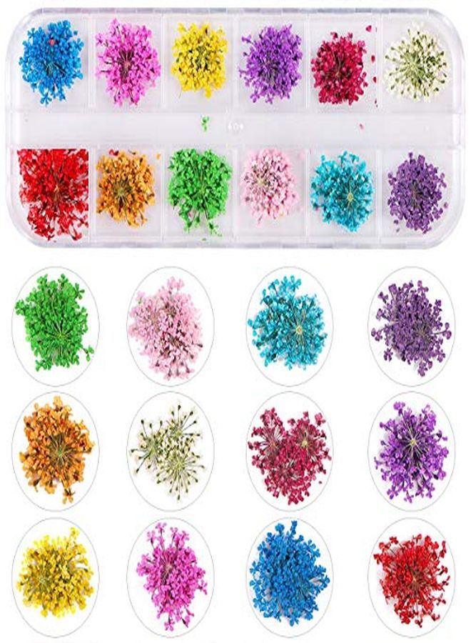 Kissbuty 2 Boxes Dried Flowers For Nail Art, 24 Colors Dry Flowers Mini Real Natural Flowers Nail Art Supplies 3D Applique Nail Decoration Sticker For Tips Manicure Decor (Flowers And Gypsophila)  - Image 2