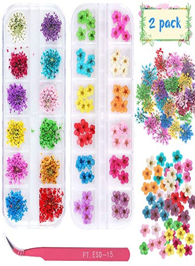 Kissbuty 2 Boxes Dried Flowers For Nail Art, 24 Colors Dry Flowers Mini Real Natural Flowers Nail Art Supplies 3D Applique Nail Decoration Sticker For Tips Manicure Decor (Flowers And Gypsophila)  - Image 1