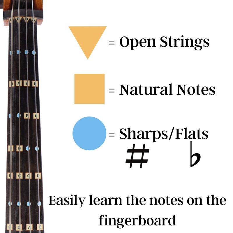 FFG NOTE THE DIFFERENCE Fantastic Finger Guide for Cellos - Music Accessories for String Instruments, Fingerboard and Fretboard Stickers for Learning All Notes, Learn to Play Cello, 4/4 Size - Image 3