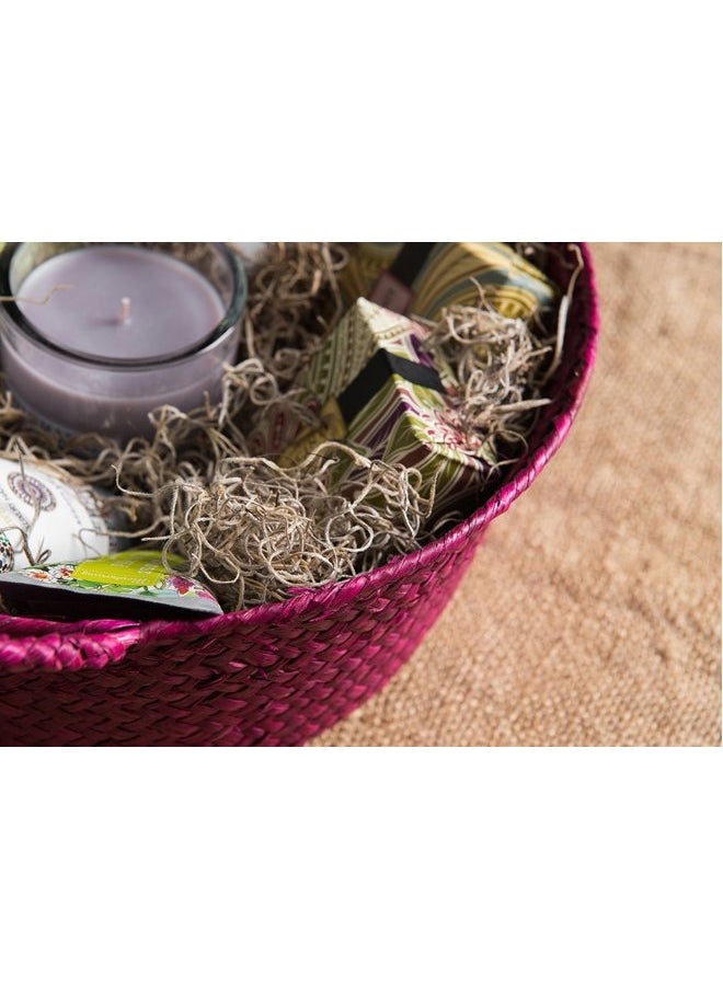 SuperMoss - (26914) Spanish Moss Preserved, Natural, 8oz (200 cubic inch) - Image 1