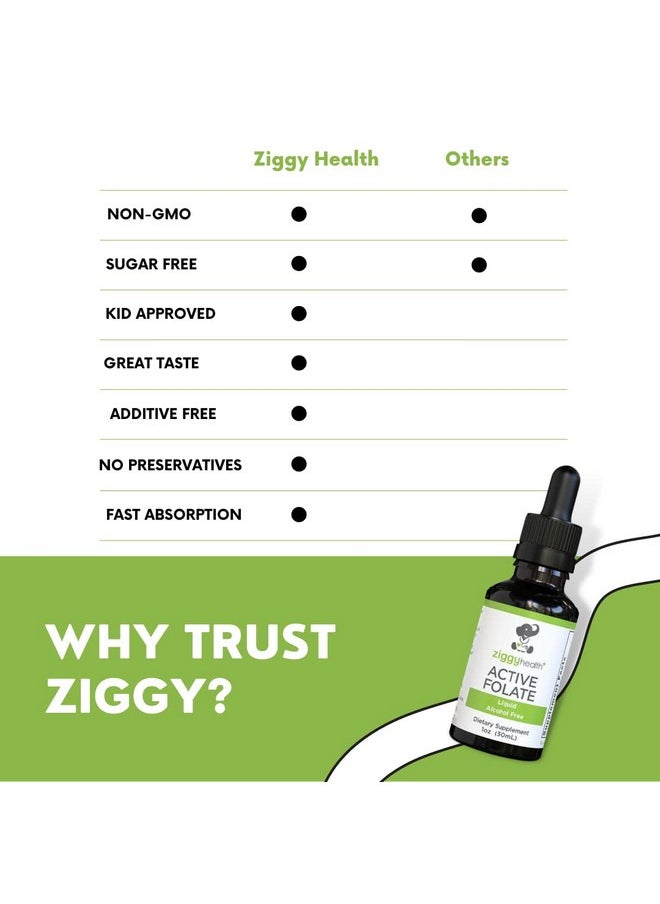 Active Folate Pure Liquid Extract Supplement - L-Methylfolate for Better Absorption, Brain Health, Improve Cellular Function, Support Immune System, Water Soluble B Complex, 1oz - by Ziggy Health