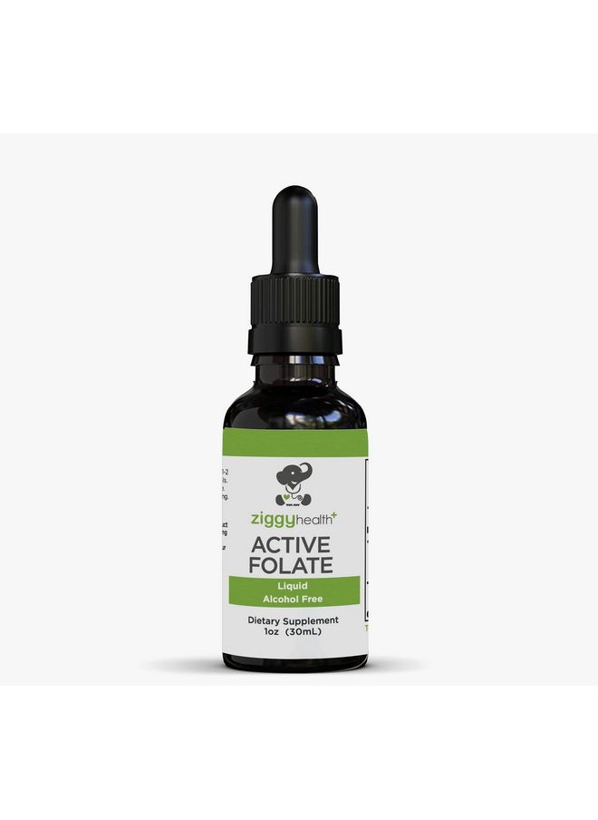 Active Folate Pure Liquid Extract Supplement - L-Methylfolate for Better Absorption, Brain Health, Improve Cellular Function, Support Immune System, Water Soluble B Complex, 1oz - by Ziggy Health