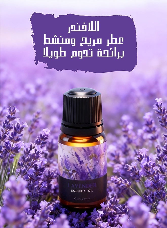 ميجيسو مجموعة زيوت اللافندر العطرية - أفضل زيت عطري للمباخر والمرطبات والقلائد - زيت عطري للعلاج بالروائح - الخيار الأول كزيت عطري منزلي - هدية زيت عطري عالي الجودة - Image 3