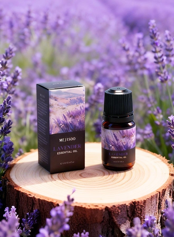 ميجيسو مجموعة زيوت اللافندر العطرية - أفضل زيت عطري للمباخر والمرطبات والقلائد - زيت عطري للعلاج بالروائح - الخيار الأول كزيت عطري منزلي - هدية زيت عطري عالي الجودة - Image 4