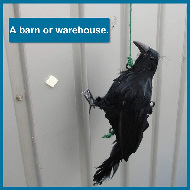 Mootikar Get Rid of Crows,Realistic Hanging Dead Crows Decoy Lifesize Extra Large Black Feathered Crow 12 inch Length - Image 5