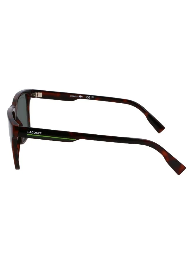 لاكوست FULL RIM INJECTED LACOSTE SUNS L6039SN