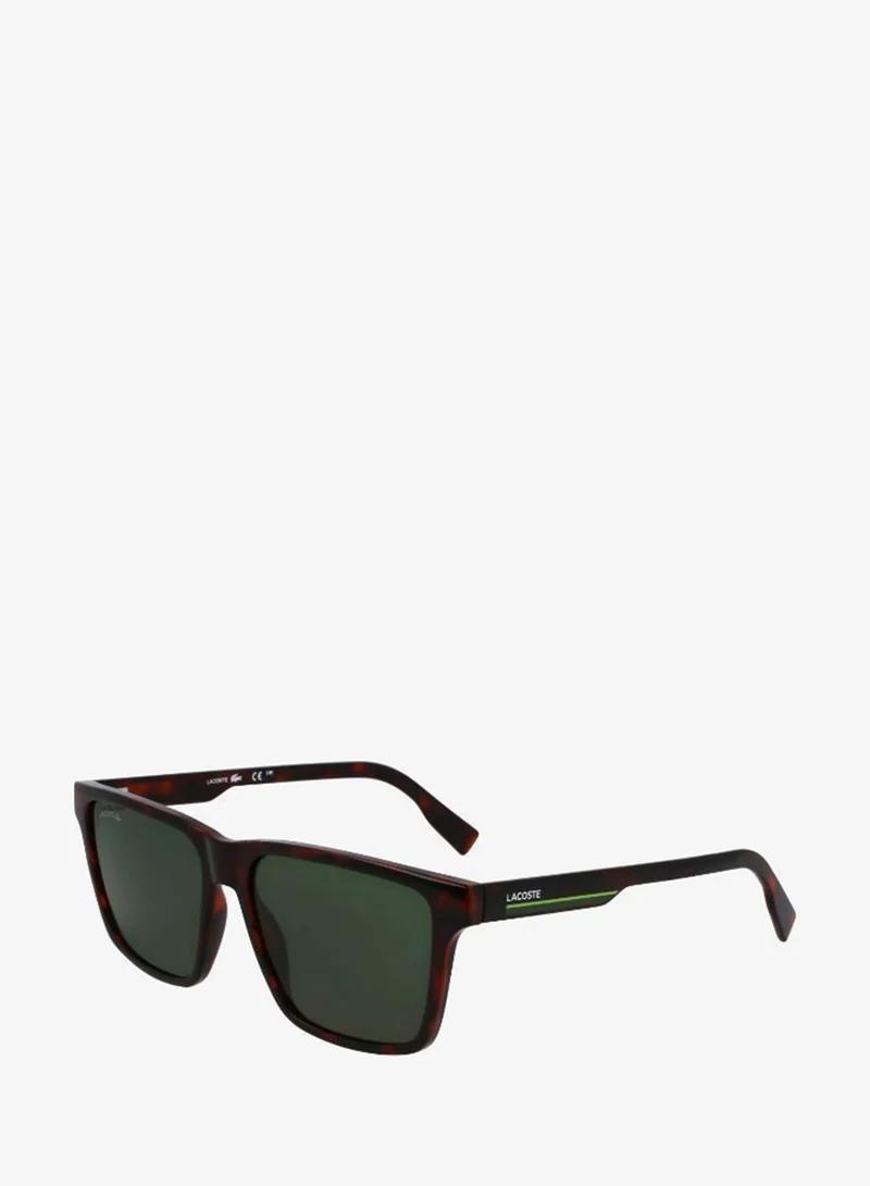 Lacoste  FULL RIM INJECTED LACOSTE SUNS L6039SN for Men | Best Price UAE