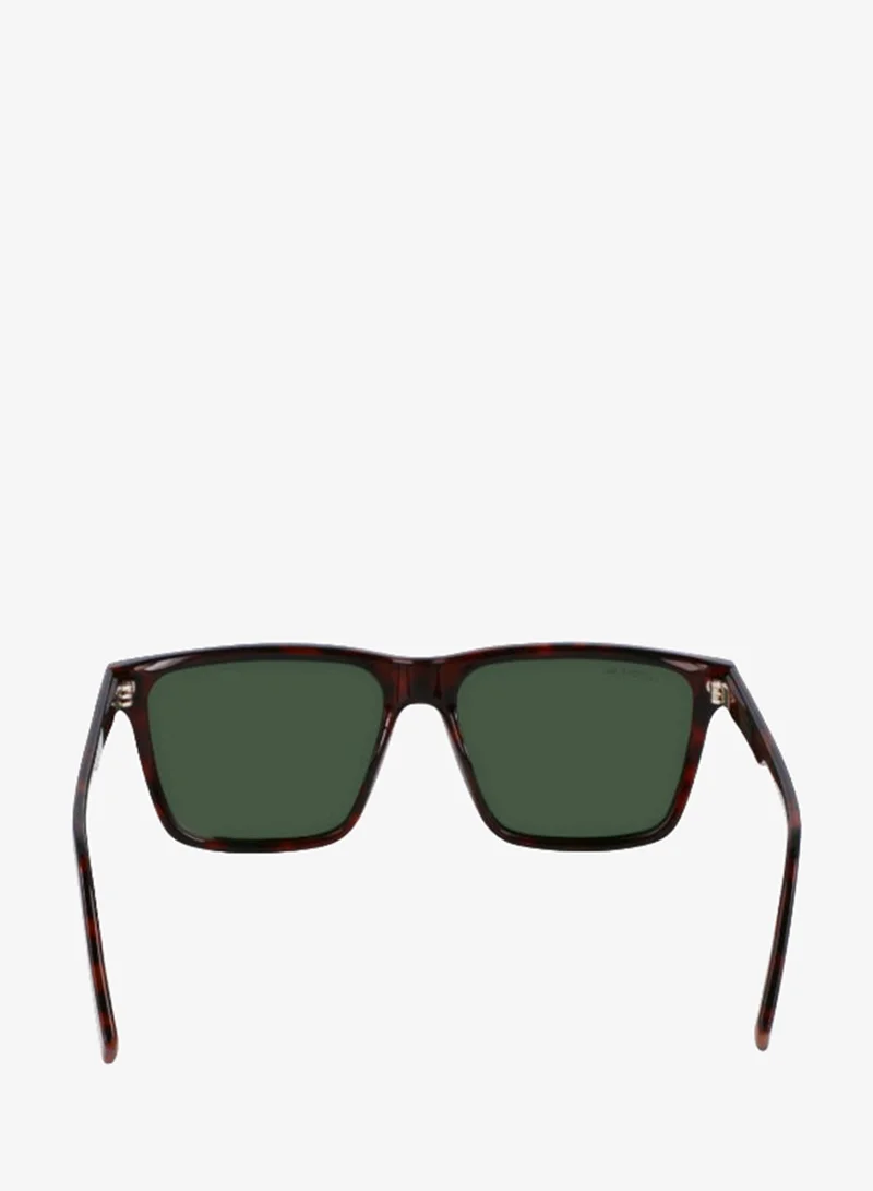 Lacoste  FULL RIM INJECTED LACOSTE SUNS L6039SN for Men | Best Price UAE