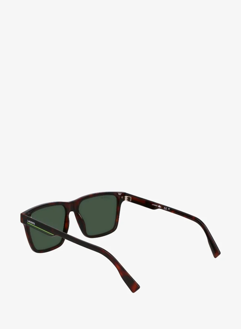 Lacoste  FULL RIM INJECTED LACOSTE SUNS L6039SN for Men | Best Price UAE