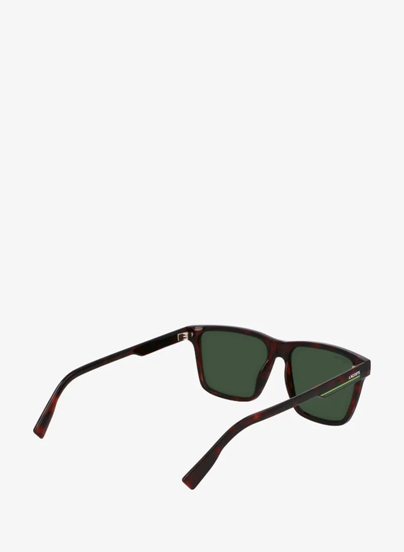 Lacoste  FULL RIM INJECTED LACOSTE SUNS L6039SN for Men | Best Price UAE