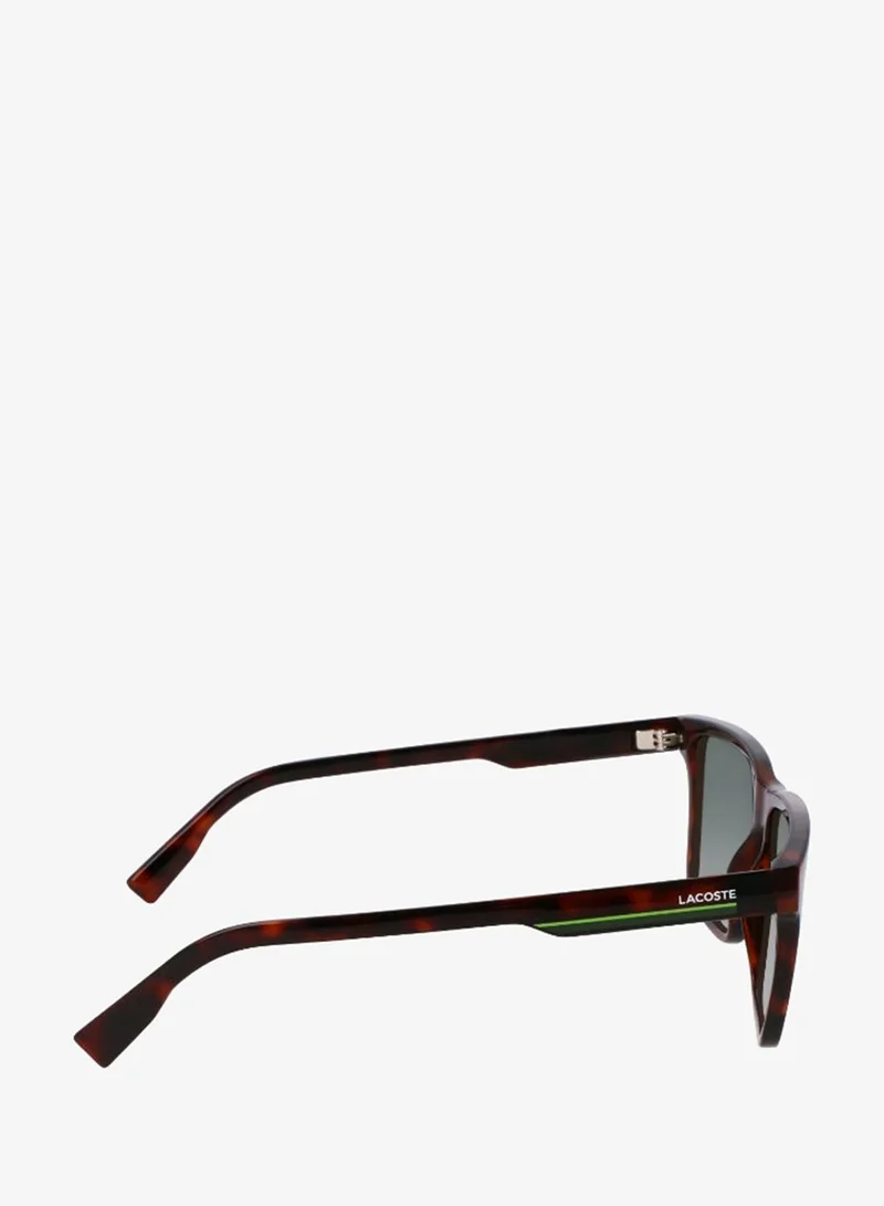 Lacoste  FULL RIM INJECTED LACOSTE SUNS L6039SN for Men | Best Price UAE