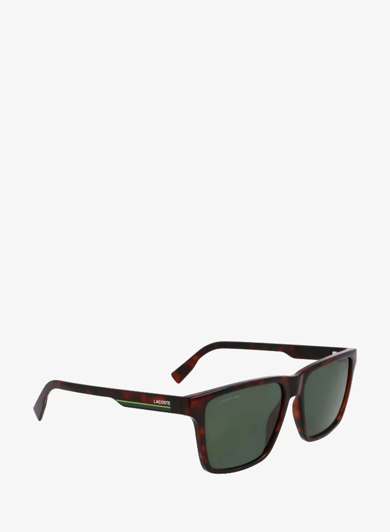 Lacoste  FULL RIM INJECTED LACOSTE SUNS L6039SN for Men | Best Price UAE