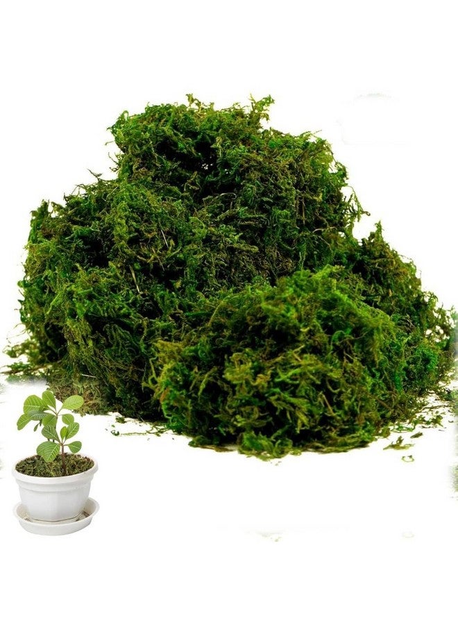 SUPVOX سوبفوكس® طحلب صناعي للنباتات في الأصص، عشب مزيف طبيعي، أخضر طازج للحرف اليدوية، ديكور المنزل، زينة الطاولات، زينة الزفاف - Image 1