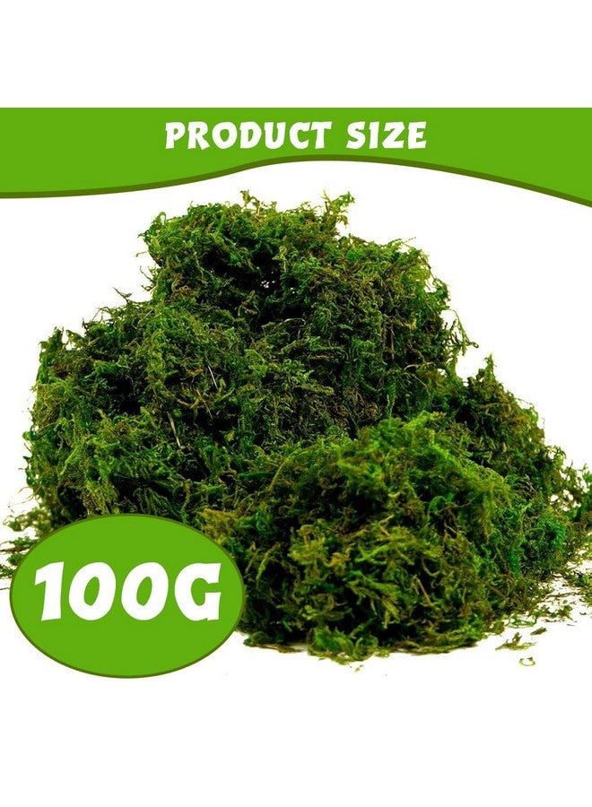 SUPVOX سوبفوكس® طحلب صناعي للنباتات في الأصص، عشب مزيف طبيعي، أخضر طازج للحرف اليدوية، ديكور المنزل، زينة الطاولات، زينة الزفاف - Image 2