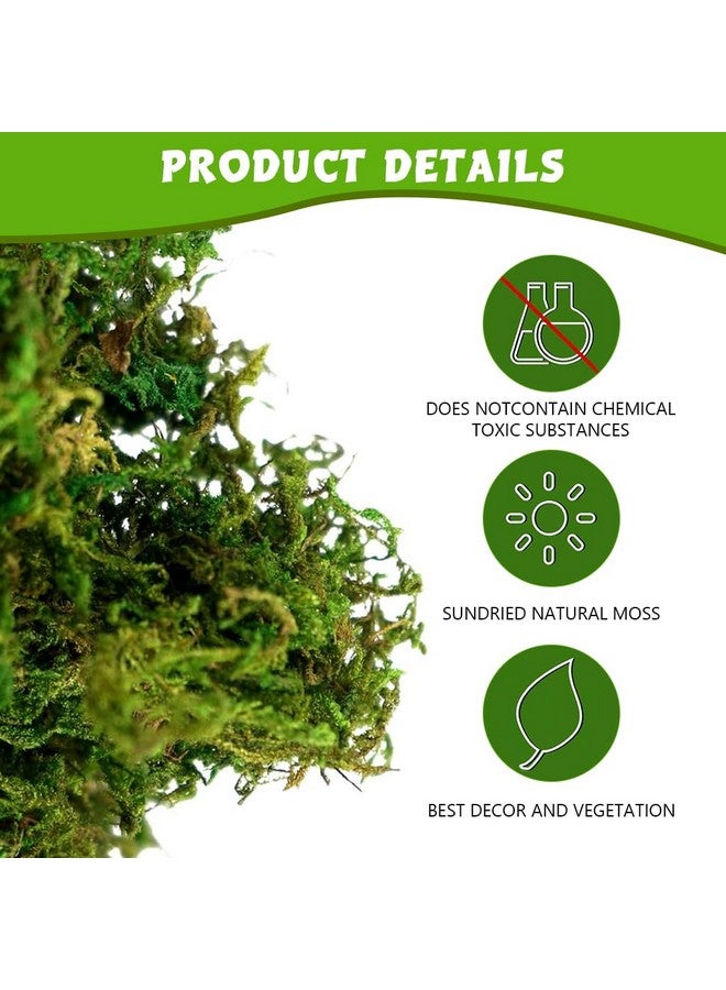 SUPVOX سوبفوكس® طحلب صناعي للنباتات في الأصص، عشب مزيف طبيعي، أخضر طازج للحرف اليدوية، ديكور المنزل، زينة الطاولات، زينة الزفاف - Image 4