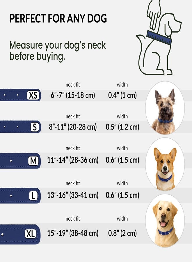CollarDirect Reflective Rolled Leather Dog Collar, Soft Padded Round Puppy Collar, Handmade Genuine Leather Collar Dog Small Large Cat Collars 13 Colors (15-19 Inch, Deep Blue Reflective) - Image 5