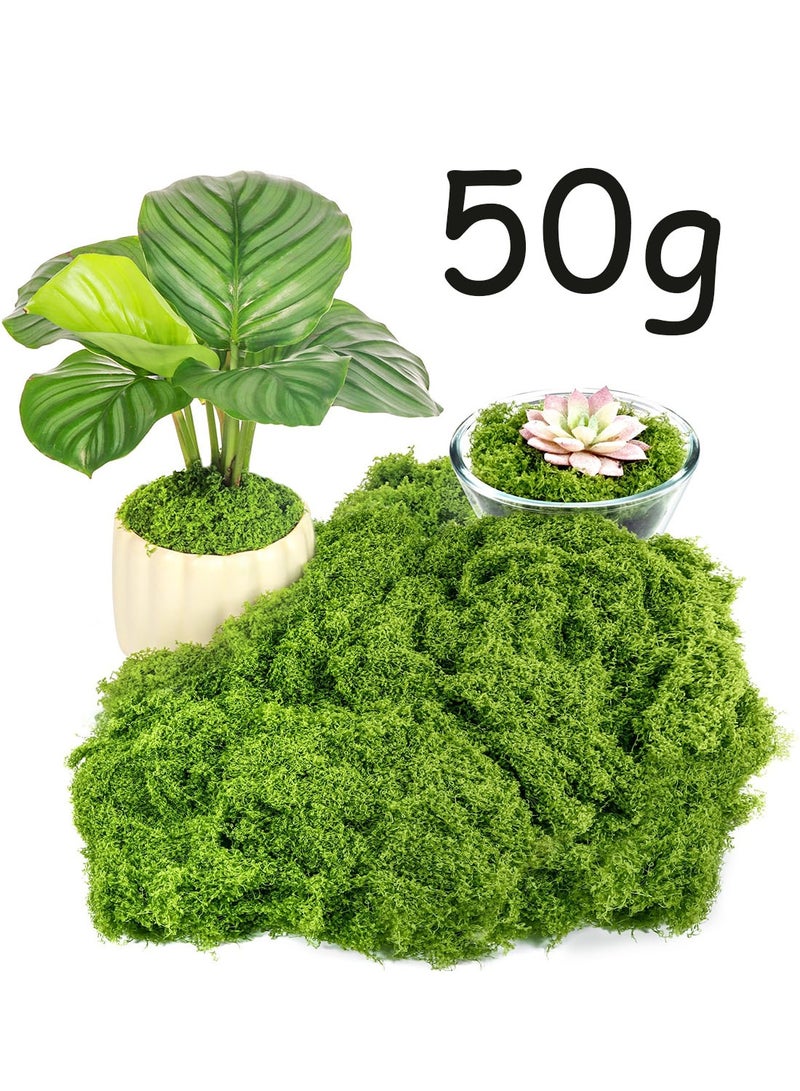 50 جرام من عشبة الطحالب تحاكي تمامًا الطحالب الصناعية العشب الأخضر المزيف للزينة والموائد والديكور المنزلي والمطبخ والحديقة طحالب الغابة المحفوظة - Image 1